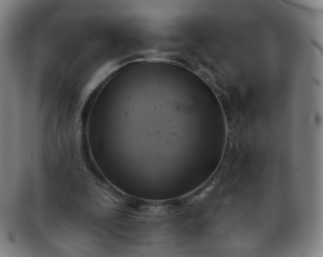 X0000091370295200708241340