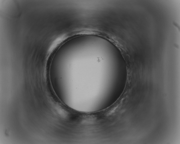 X0000091370296200708241340