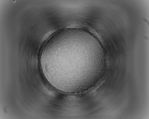 X0000091370298200708241340