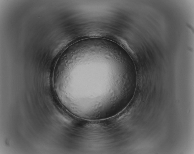 X0000091370299200708241340