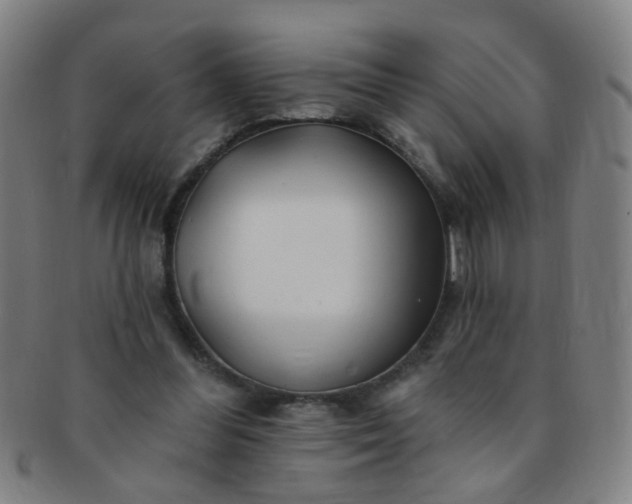 X0000091370300200708241340