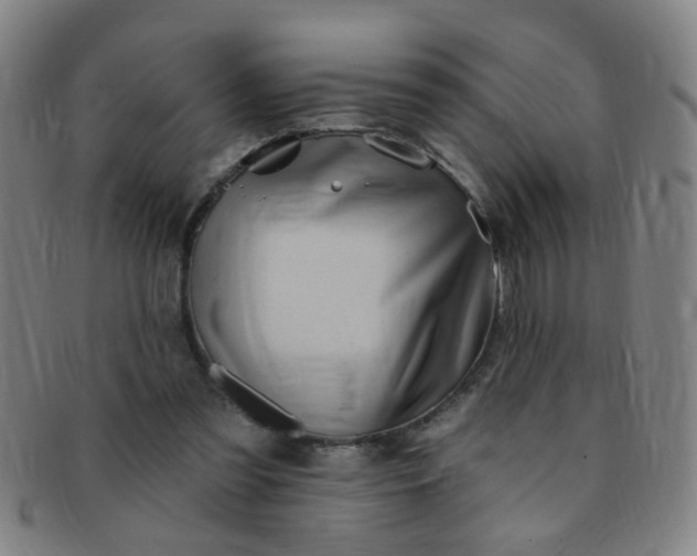 X0000091370301200708241340