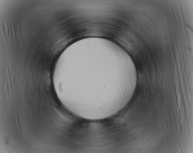 X0000091370302200708241340