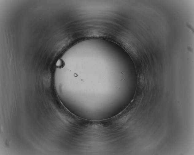 X0000091370304200708241340