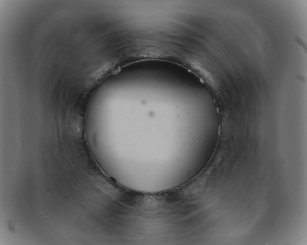 X0000091370305200708241340