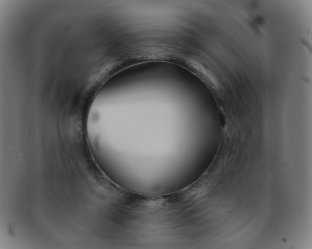 X0000091370306200708241340