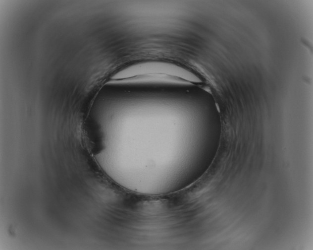 X0000091370307200708241340