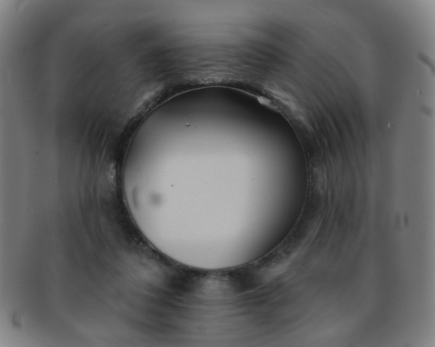 X0000091370308200708241340