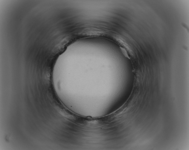 X0000091370309200708241340