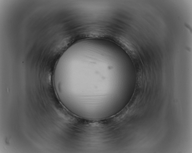 X0000091370310200708241340