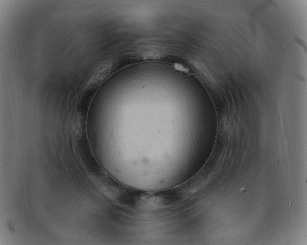 X0000091370311200708241340