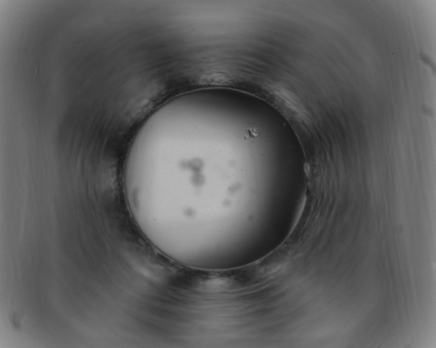 X0000091370312200708241340