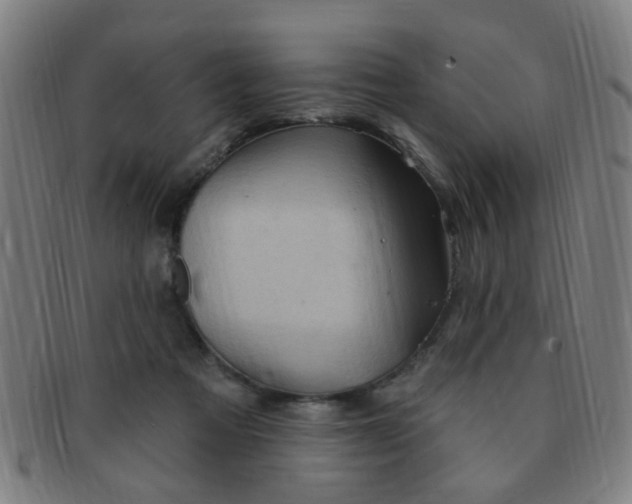 X0000091370313200708241340