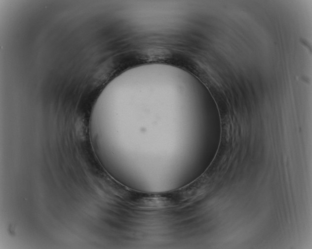 X0000091370316200708241339