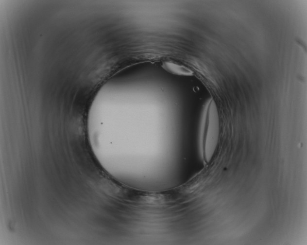 X0000091370317200708241339