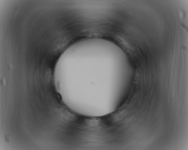 X0000091370318200708241339