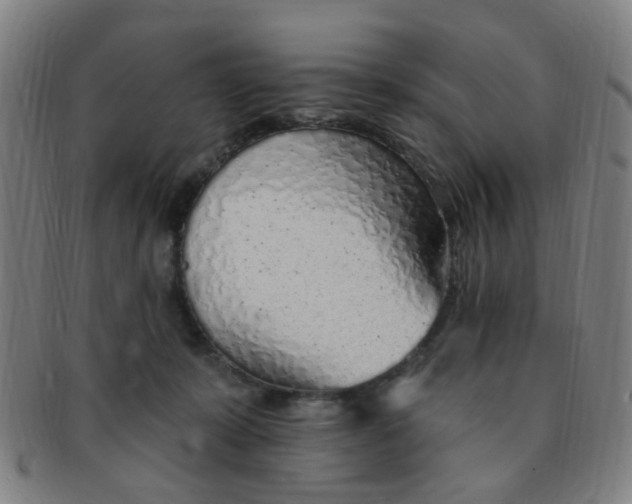 X0000091370319200708241339