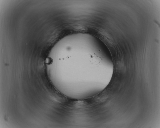 X0000091370320200708241339