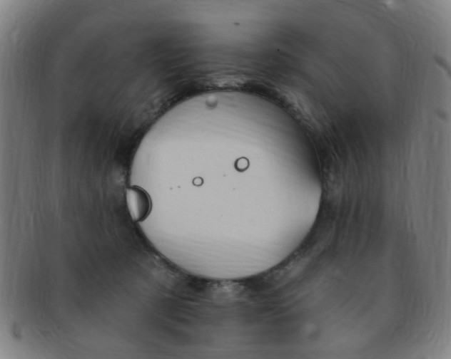 X0000091370321200708241339