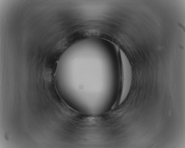 X0000091370323200708241339