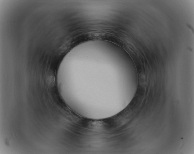 X0000091370324200708241339