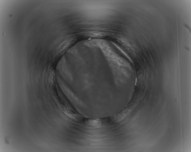 X0000091370325200708241339