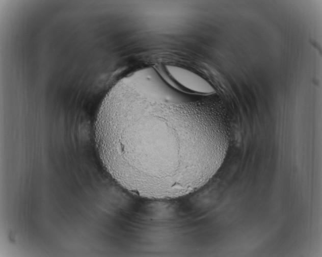 X0000091370326200708241339