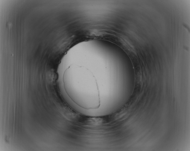 X0000091370328200708241339