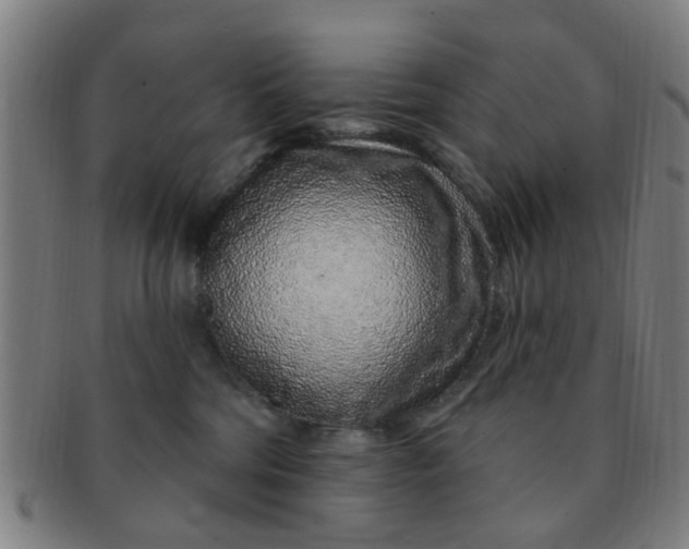 X0000091370330200708241339