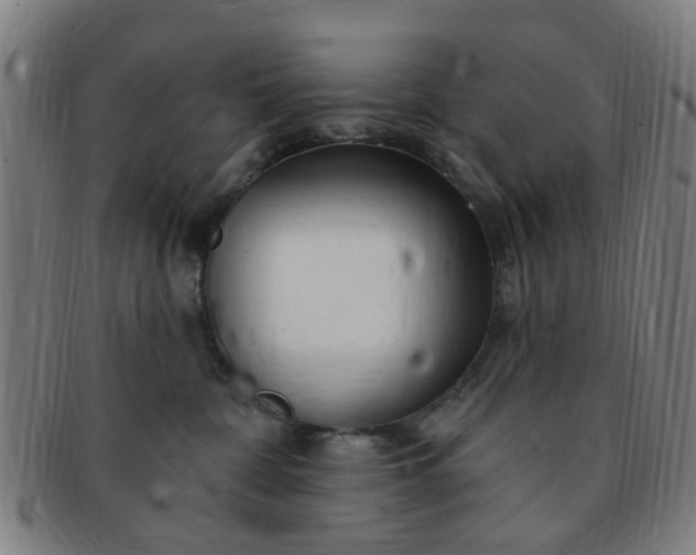 X0000091370332200708241339