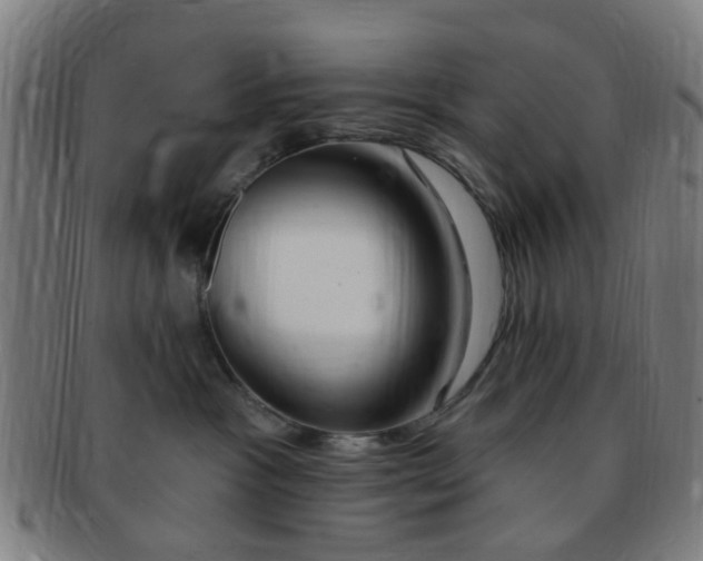 X0000091370333200708241339