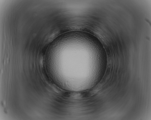 X0000091370334200708241339