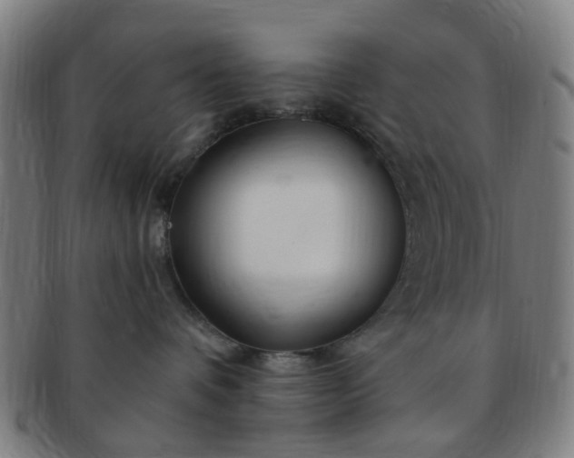 X0000091370336200708241339