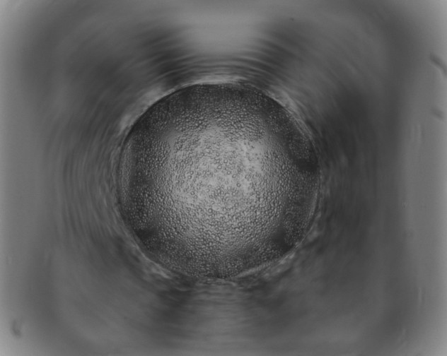 X0000091370337200708241339