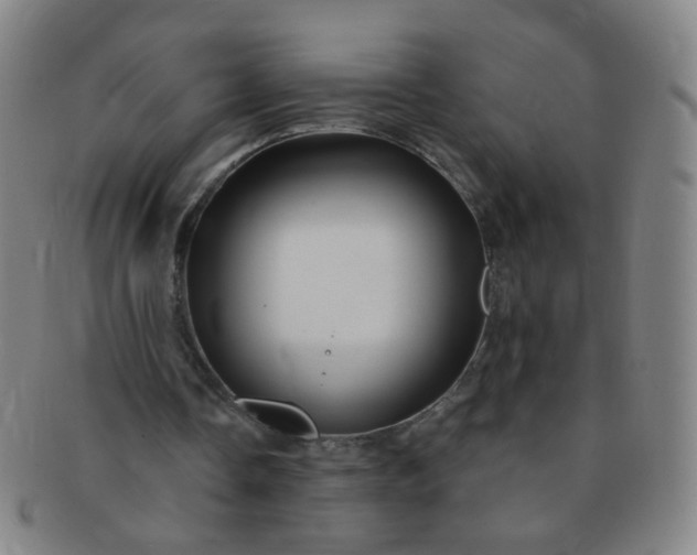 X0000091370338200708241339