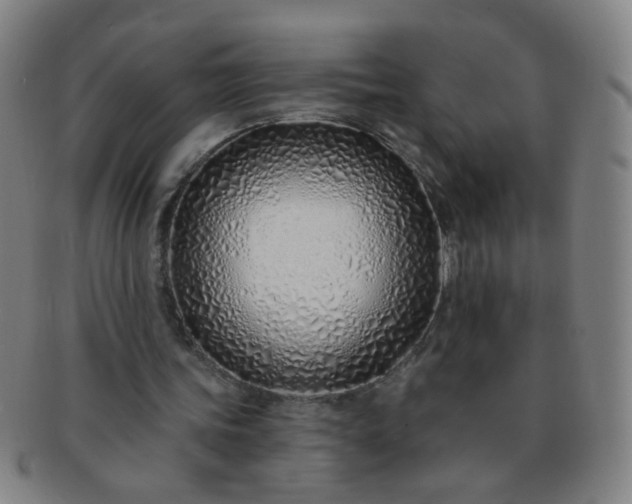 X0000091370339200708241339