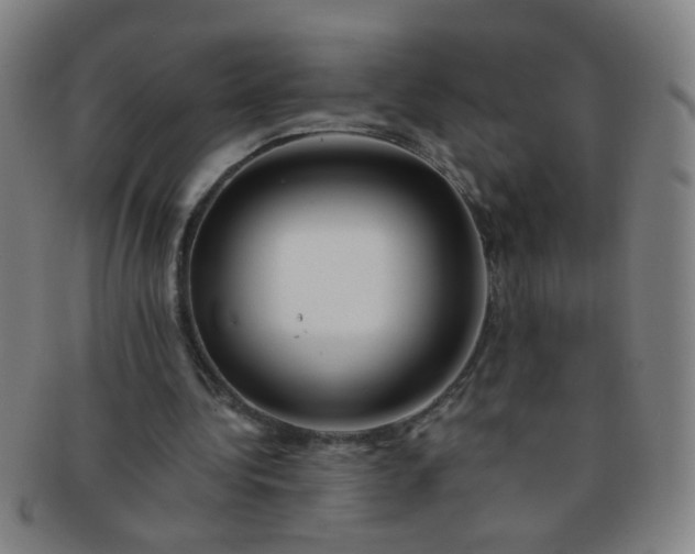 X0000091370340200708241339