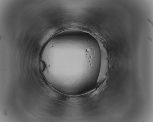 X0000091370341200708241339