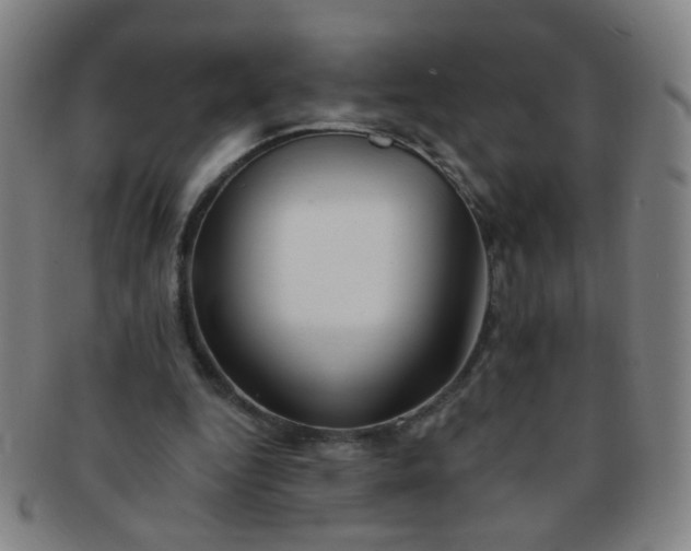 X0000091370344200708241339