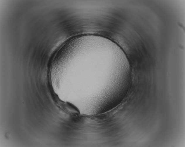 X0000091370346200708241339