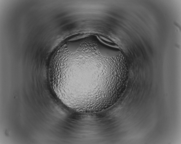 X0000091370347200708241339