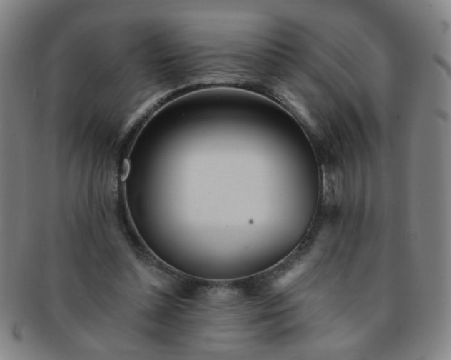 X0000091370348200708241339