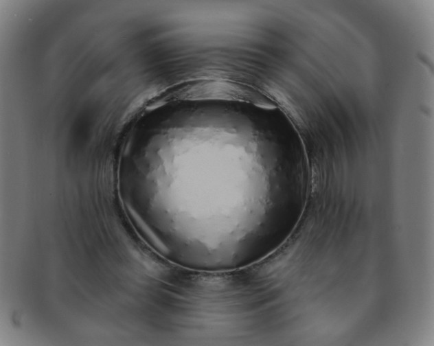 X0000091370349200708241339