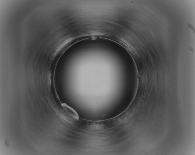 X0000091370350200708241339