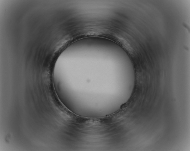 X0000091370354200708241339