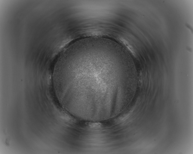 X0000091370355200708241339