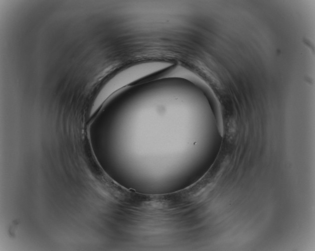 X0000091370356200708241339