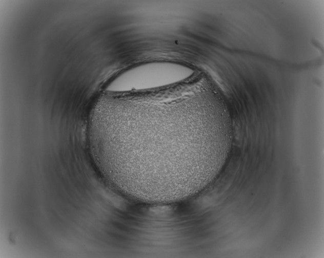 X0000091370357200708241339