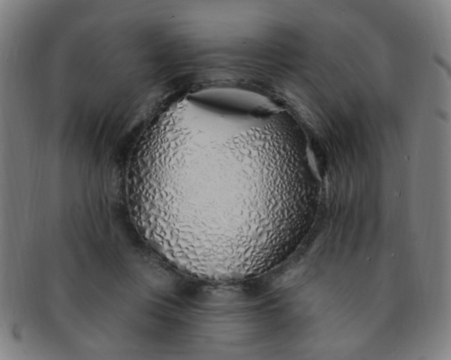 X0000091370359200708241339