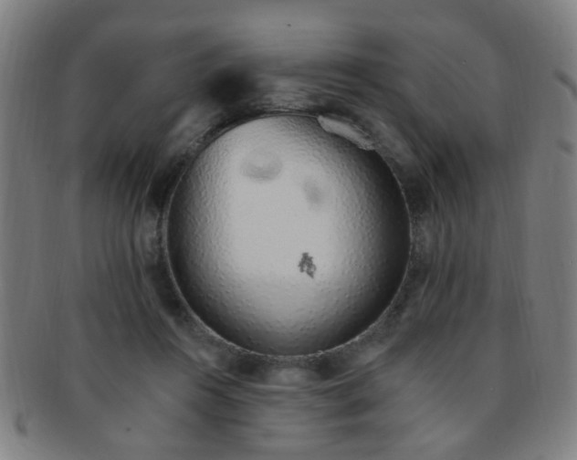 X0000091370360200708241339